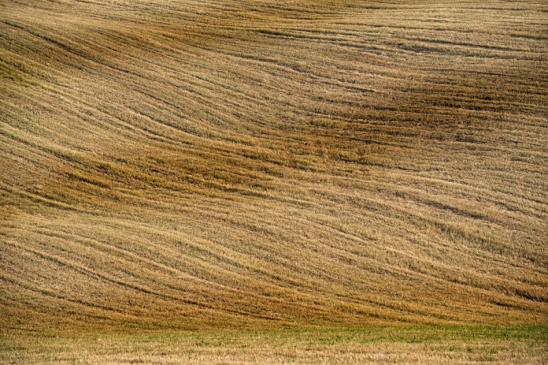 Clicca per l'immagine full size