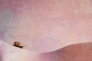 Nome File=@.jpg
Dimensione File=312KB
Dimensioni=800x536
Data aggiunta=Apr 08, 2012 @.jpg