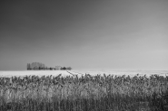 Nome File=DSC0018_bw.jpg
Dimensione File=247KB
Dimensioni=800x536
Data aggiunta=Mar 21, 2012 DSC0018_bw.jpg