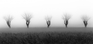Nome File=animazione.jpg
Dimensione File=352KB
Dimensioni=1200x581
Data aggiunta=Dic 18, 2014 animazione.jpg