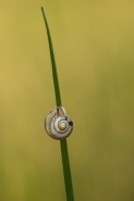 hr_DSC0041.jpg hr_DSC0041.jpg