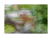 Nome File=the_garden.jpg
Dimensione File=442KB
Dimensioni=1200x868
Data aggiunta=Lug 13, 2014 the_garden.jpg