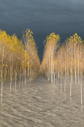 Filename=xs_GRA1438.jpg
Filesize=387KB
Dimensions=801x1200
Date added=Dec 02, 2023 xs_GRA1438.jpg