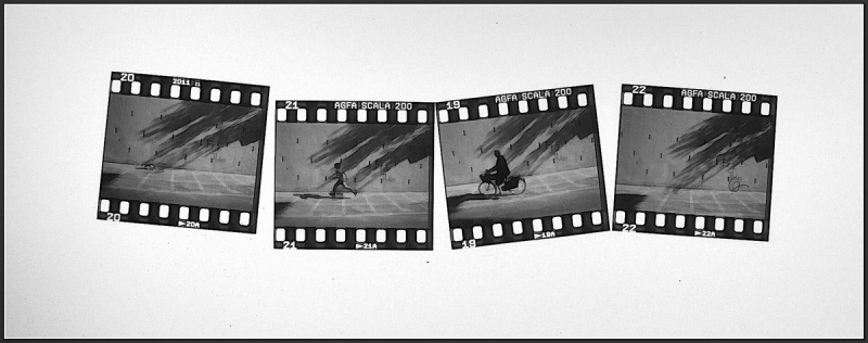 Clicca per l'immagine full size