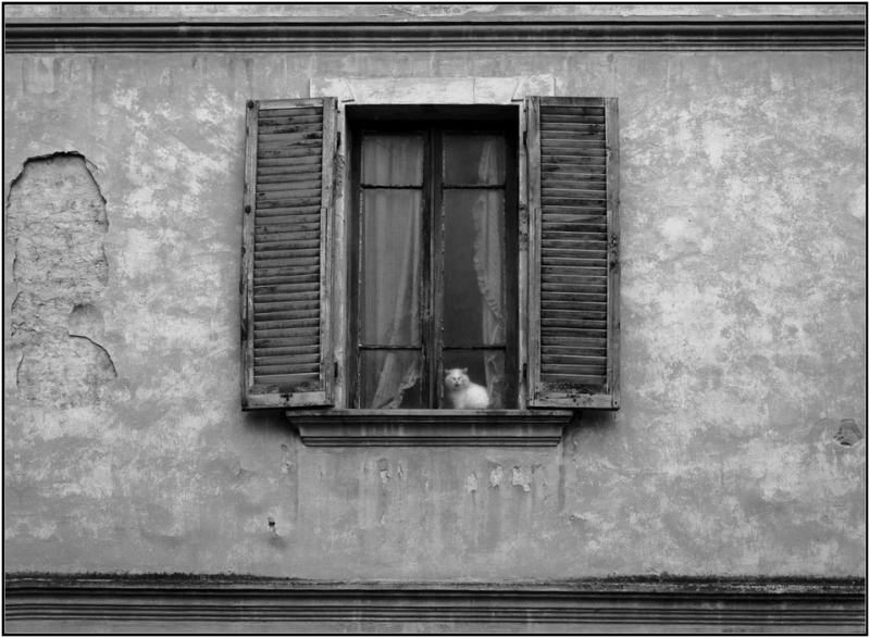 Clicca per l'immagine full size