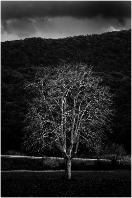 Clicca per l'immagine full size