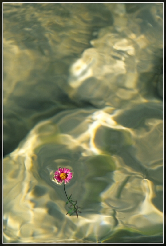 Clicca per l'immagine full size