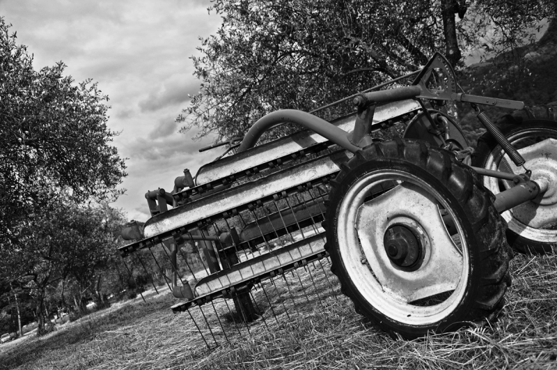 Clicca per l'immagine full size
