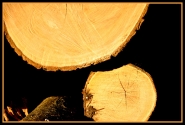 Nome File=varie_naturali.jpg
Dimensione File=357KB
Dimensioni=1200x813
Data aggiunta=Mar 15, 2014 varie_naturali.jpg