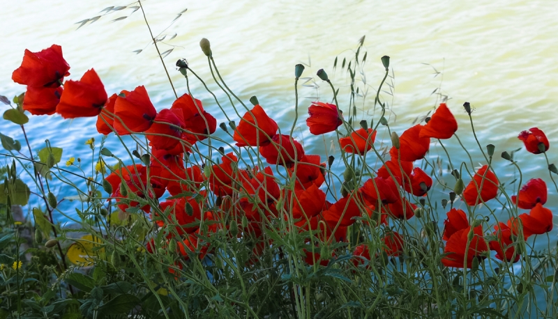 Clicca per l'immagine full size
