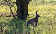 Filename=07122019-IMG_0253.jpg
Filesize=564KB
Dimensions=1200x740
Date added=Dec 08, 2019 07122019-IMG_0253.jpg