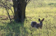 Filename=07122019-IMG_0254.jpg
Filesize=559KB
Dimensions=1200x775
Date added=Dec 08, 2019 07122019-IMG_0254.jpg