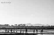 Filename=C6312.jpg
Filesize=66KB
Dimensions=1079x715
Date added=Sep 06, 2014 C6312.jpg