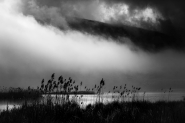 Filename=_LF40537_copia.jpg
Filesize=504KB
Dimensions=1200x800
Date added=Mar 01, 2016 _LF40537_copia.jpg