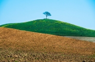 Nome File=Vall_d_Orcia_il_solitario.jpg
Dimensione File=520KB
Dimensioni=1200x797
Data aggiunta=Mag 09, 2016 Vall_d_Orcia_il_solitario.jpg