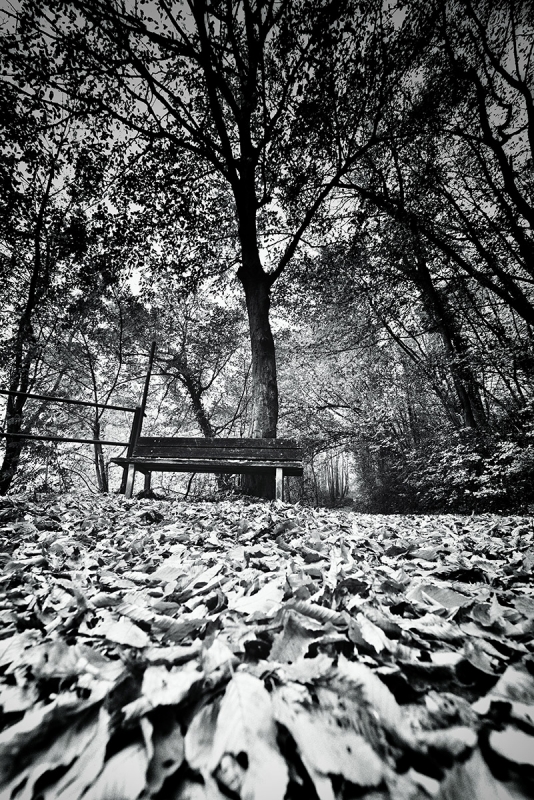 Clicca per l'immagine full size