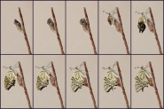 Nome File=aaasdadasdasdas.jpg
Dimensione File=384KB
Dimensioni=1024x682
Data aggiunta=Ago 12, 2015 aaasdadasdasdas.jpg