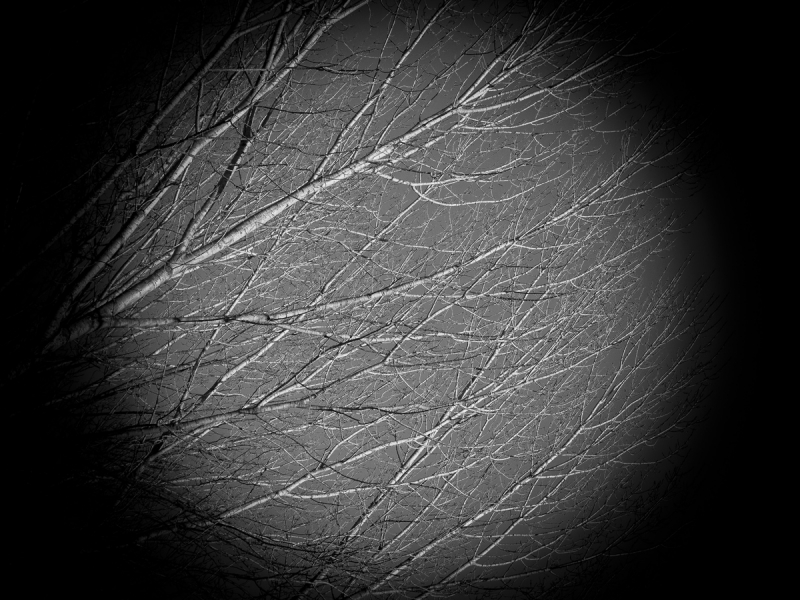 Clicca per l'immagine full size