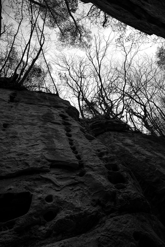 Clicca per l'immagine full size