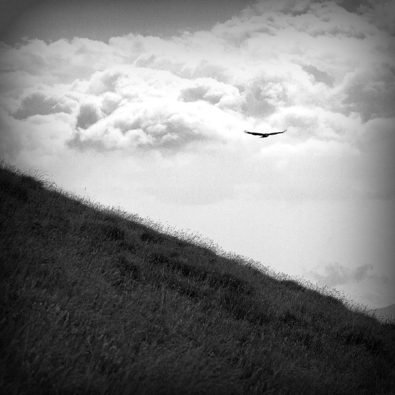 Clicca per l'immagine full size