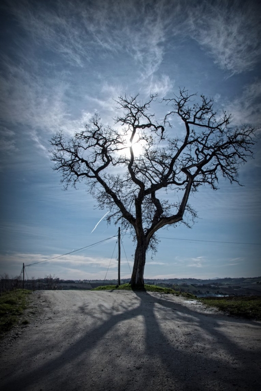Clicca per l'immagine full size