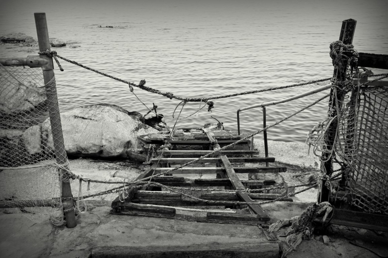 Clicca per l'immagine full size