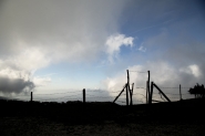 Filename=1-0D0A9690-MM.jpg
Filesize=117KB
Dimensions=1200x800
Date added=Oct 24, 2021 1-0D0A9690-MM.jpg