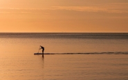 Nome File=SUP-MM.jpg
Dimensione File=144KB
Dimensioni=1200x750
Data aggiunta=Giu 13, 2019 SUP-MM.jpg