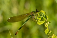 DSC_0366_web.jpg