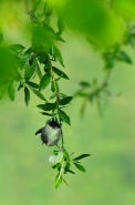 DSC_1130_v2_web.jpg