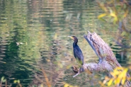 DSC_3816_web.jpg