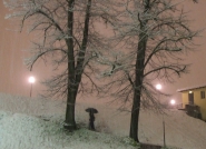 DSCF1652.JPG