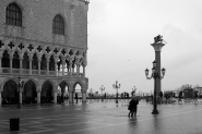 R8282.jpg