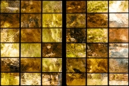 _DSC6151_racconto_di_un_autunno_#1.jpg