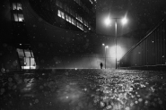 Nome File=Black_rain_copia.jpg
Dimensione File=392KB
Dimensioni=1100x734
Data aggiunta=Feb 19, 2019 Black_rain_copia.jpg