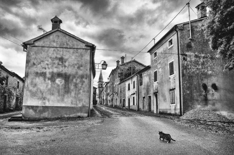 Clicca per l'immagine full size