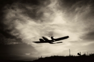 air_fly.jpg