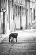 Nome File=la_strada~0.jpg
Dimensione File=341KB
Dimensioni=662x1000
Data aggiunta=Mag 12, 2018 la_strada~0.jpg