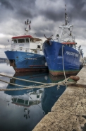 Nome File=pescherecci_(_fishing_Boats_).jpg
Dimensione File=346KB
Dimensioni=530x800
Data aggiunta=Nov 25, 2017 pescherecci_(_fishing_Boats_).jpg