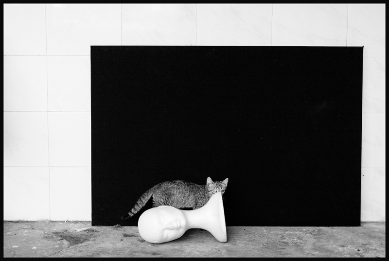 Clicca per l'immagine full size