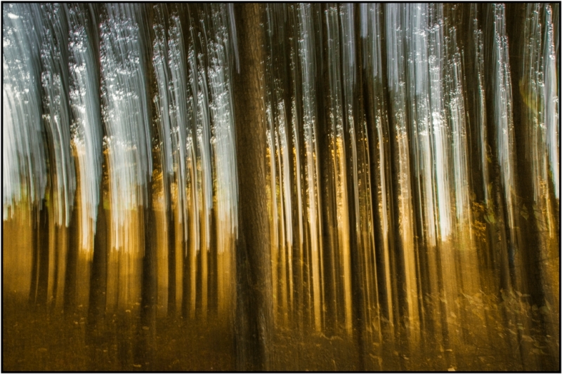 Clicca per l'immagine full size