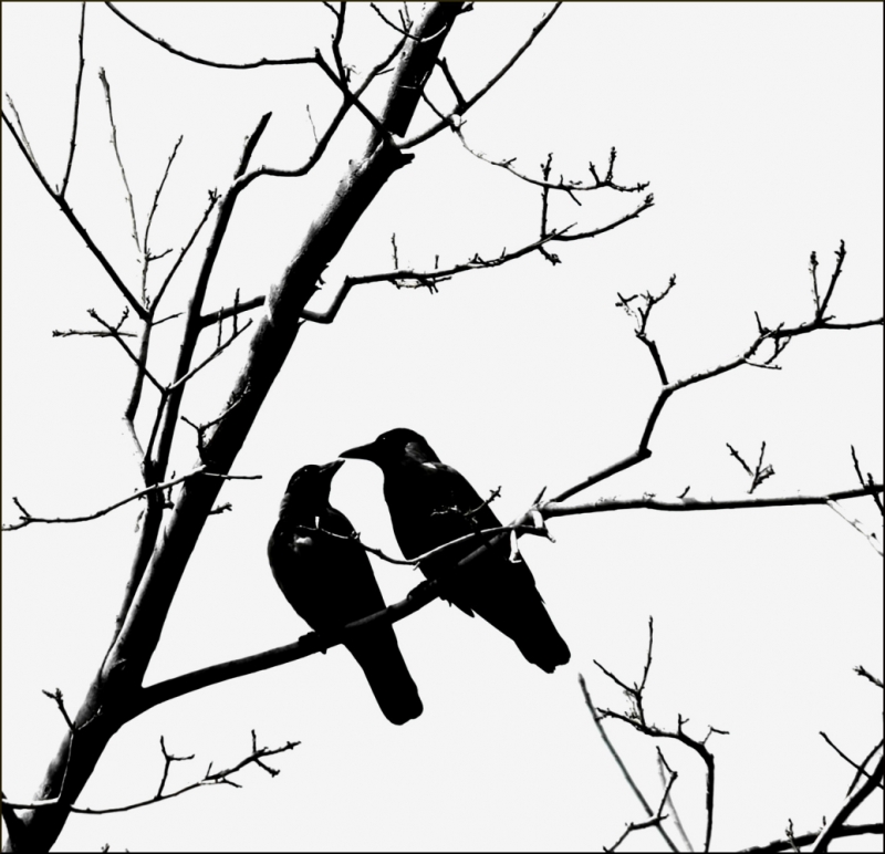 Clicca per l'immagine full size