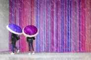 Purple_rain.jpg