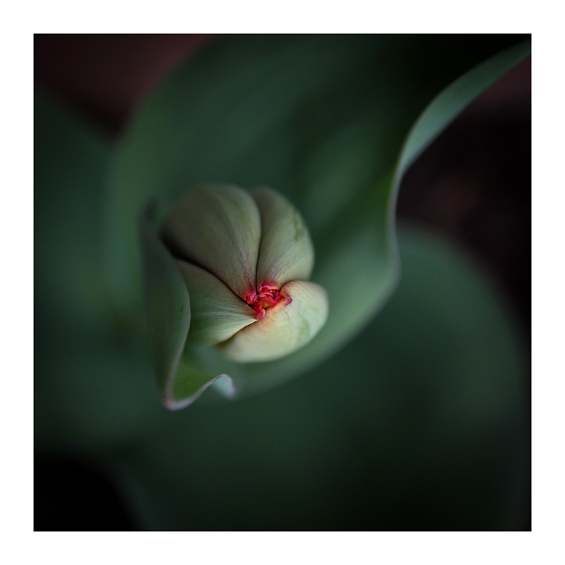 Clicca per l'immagine full size