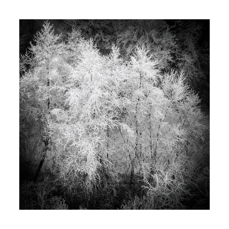 Clicca per l'immagine full size
