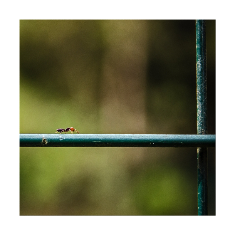 Clicca per l'immagine full size