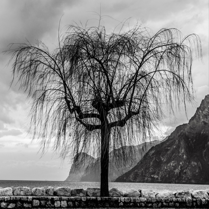 Clicca per l'immagine full size
