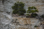 Nome File=Cornici_di_pietra_rid.jpg
Dimensione File=590KB
Dimensioni=750x499
Data aggiunta=Mar 12, 2017 Cornici_di_pietra_rid.jpg