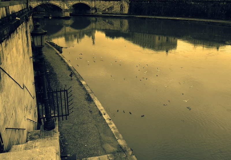 Clicca per l'immagine full size