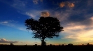 Nome File=albero.jpg
Dimensione File=137KB
Dimensioni=1200x657
Data aggiunta=Apr 04, 2015 albero.jpg